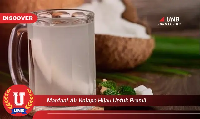 manfaat air kelapa hijau untuk promil