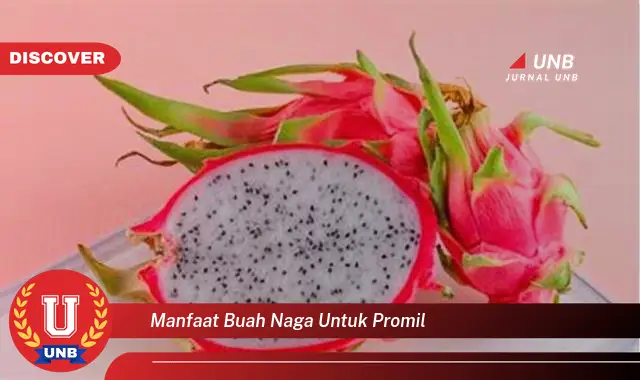 manfaat buah naga untuk promil