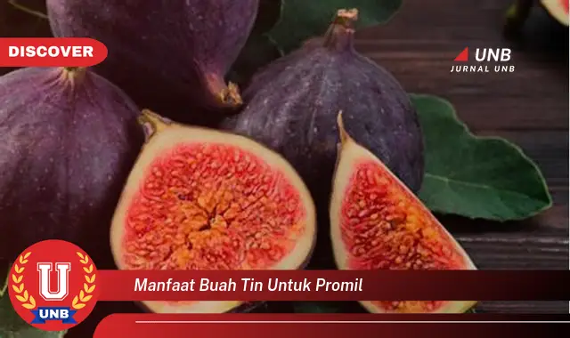 manfaat buah tin untuk promil manfaat buah tin untuk promil