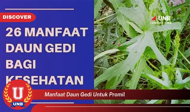 manfaat daun gedi untuk promil