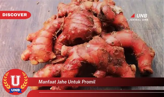 manfaat jahe untuk promil