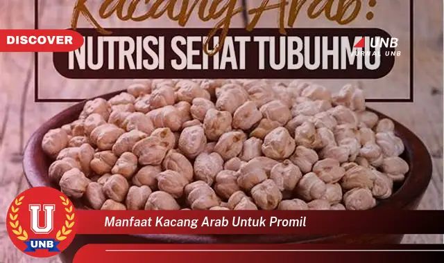 manfaat kacang arab untuk promil