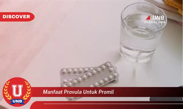 manfaat provula untuk promil
