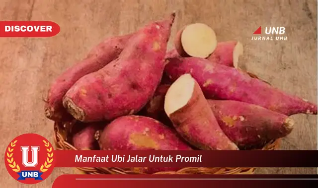 manfaat ubi jalar untuk promil