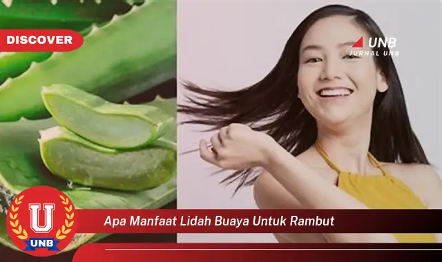 apa manfaat lidah buaya untuk rambut apa manfaat lidah buaya untuk rambut