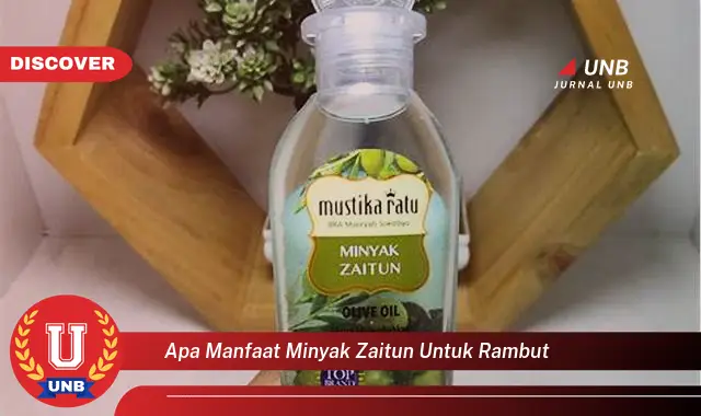 apa manfaat minyak zaitun untuk rambut apa manfaat minyak zaitun untuk rambut