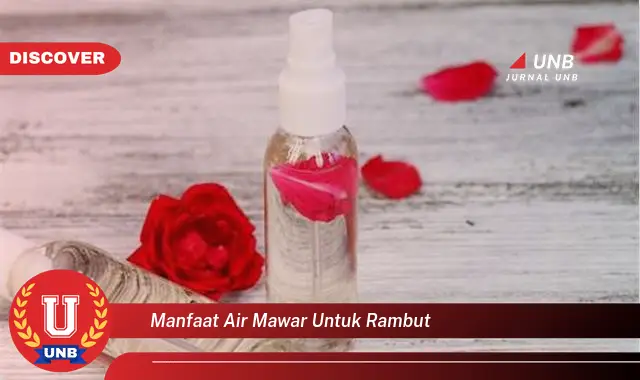 manfaat air mawar untuk rambut manfaat air mawar untuk rambut
