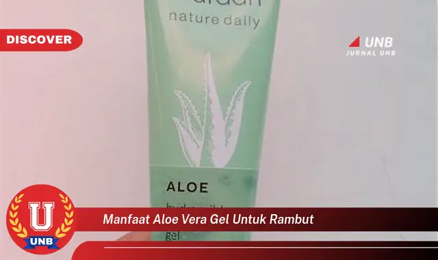 manfaat aloe vera gel untuk rambut manfaat aloe vera gel untuk rambut