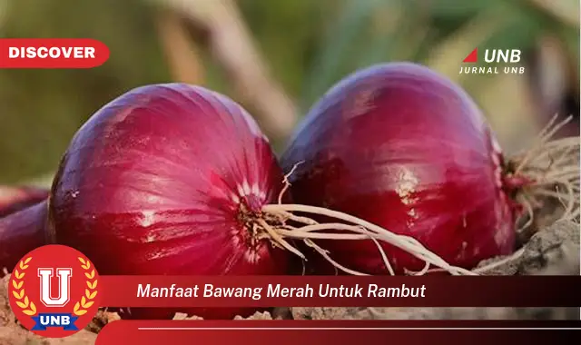 manfaat bawang merah untuk rambut manfaat bawang merah untuk rambut