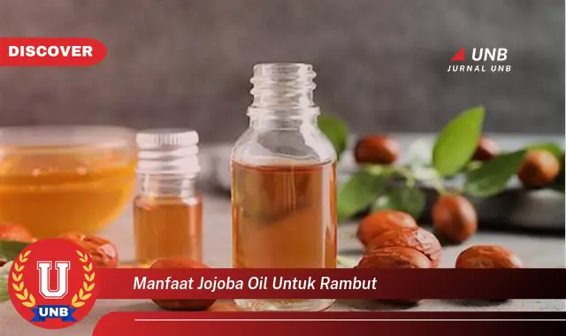 manfaat jojoba oil untuk rambut