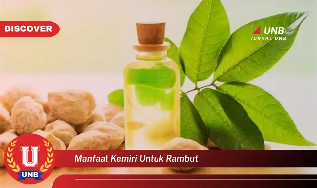manfaat kemiri untuk rambut manfaat kemiri untuk rambut