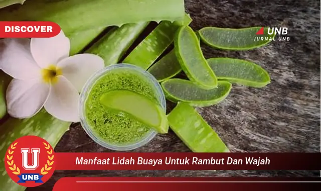 manfaat lidah buaya untuk rambut dan wajah