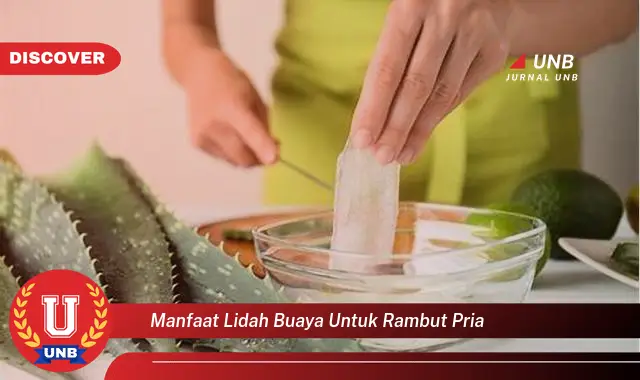 manfaat lidah buaya untuk rambut pria