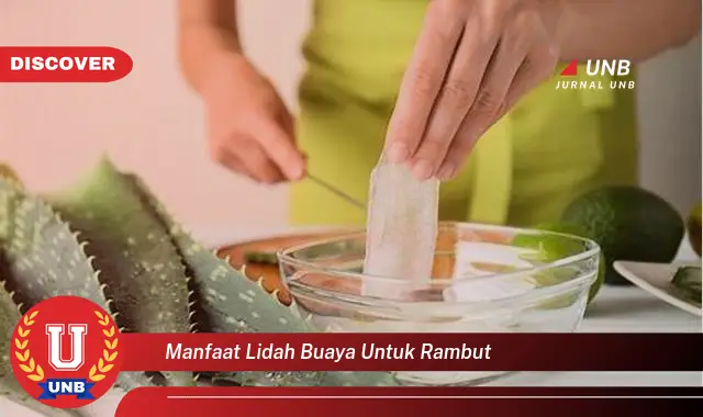 manfaat lidah buaya untuk rambut