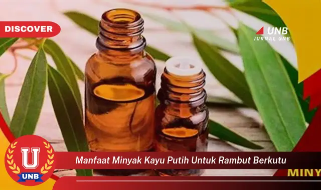 manfaat minyak kayu putih untuk rambut berkutu