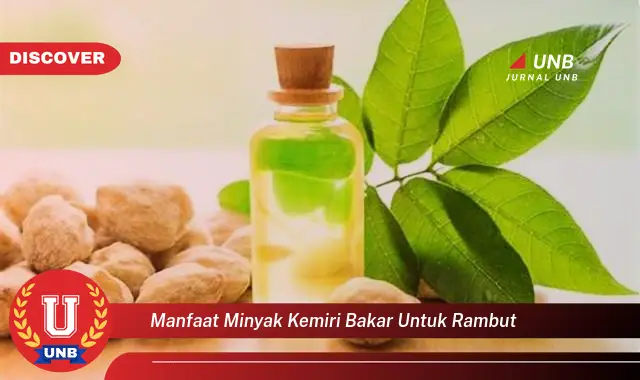 manfaat minyak kemiri bakar untuk rambut