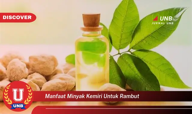 manfaat minyak kemiri untuk rambut manfaat minyak kemiri untuk rambut