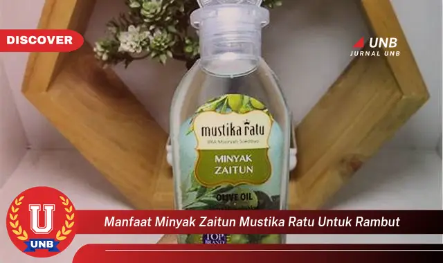 manfaat minyak zaitun mustika ratu untuk rambut