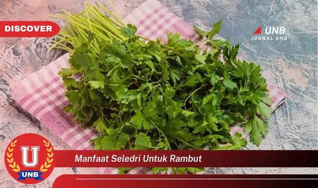 manfaat seledri untuk rambut