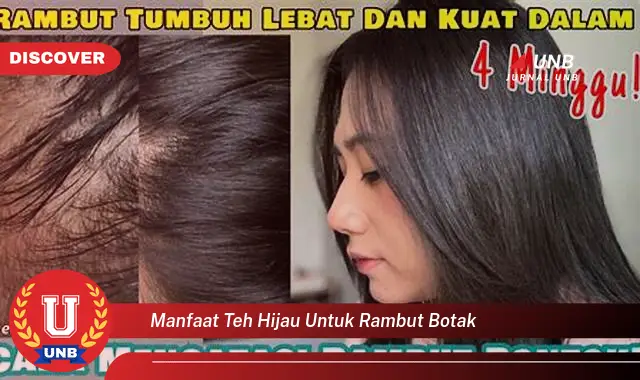 manfaat teh hijau untuk rambut botak