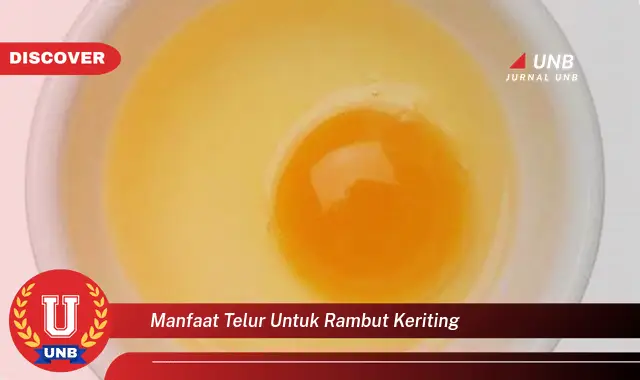 manfaat telur untuk rambut keriting