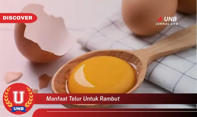 manfaat telur untuk rambut manfaat telur untuk rambut