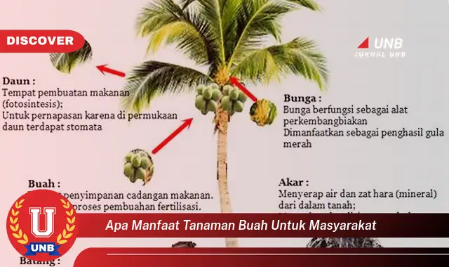 apa manfaat tanaman buah untuk masyarakat