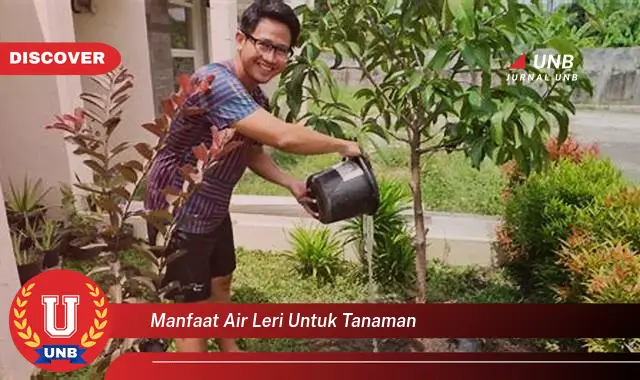 manfaat air leri untuk tanaman