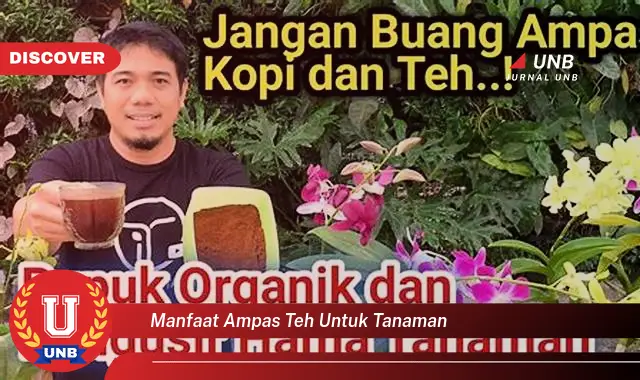 manfaat ampas teh untuk tanaman manfaat ampas teh untuk tanaman
