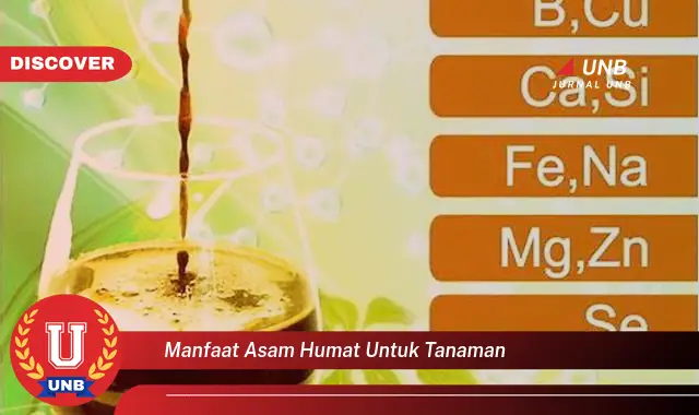 manfaat asam humat untuk tanaman manfaat asam humat untuk tanaman