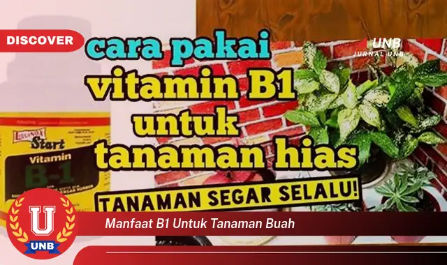 manfaat b1 untuk tanaman buah