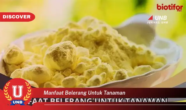 manfaat belerang untuk tanaman