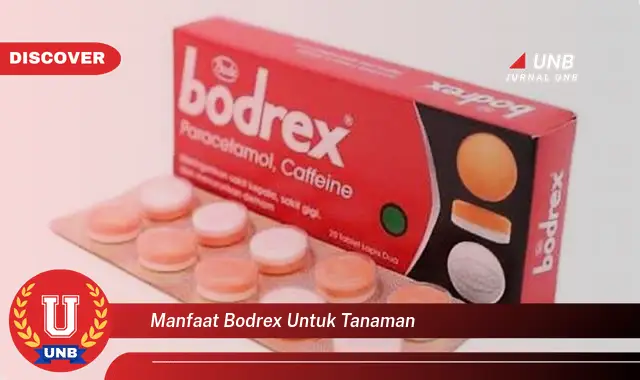 manfaat bodrex untuk tanaman manfaat bodrex untuk tanaman