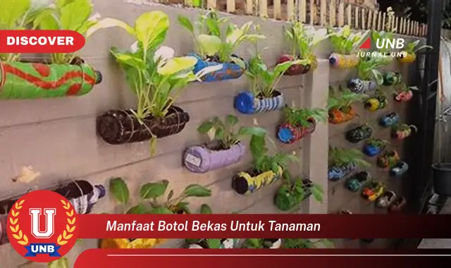 manfaat botol bekas untuk tanaman