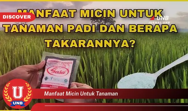 manfaat micin untuk tanaman manfaat micin untuk tanaman
