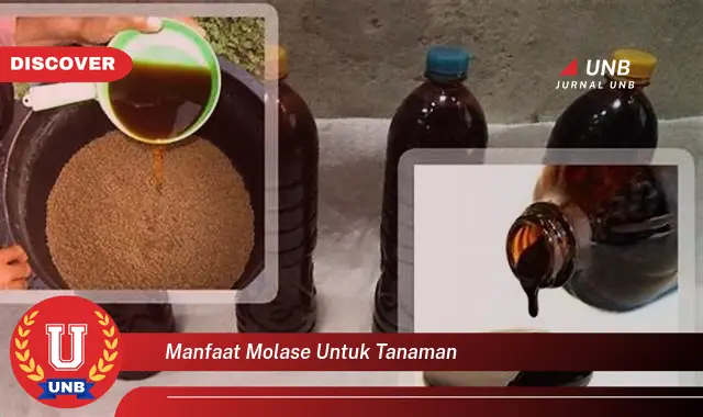 manfaat molase untuk tanaman
