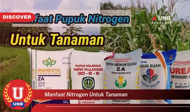 manfaat nitrogen untuk tanaman