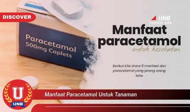 manfaat paracetamol untuk tanaman