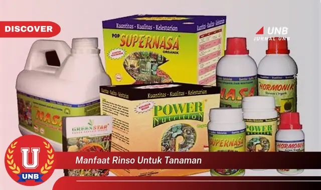 manfaat rinso untuk tanaman