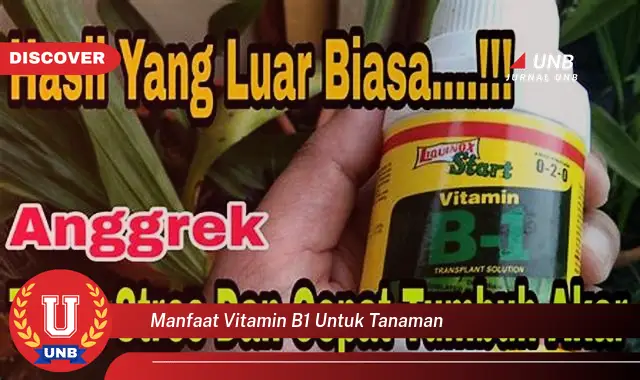 manfaat vitamin b1 untuk tanaman