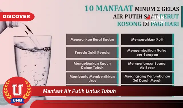 manfaat air putih untuk tubuh