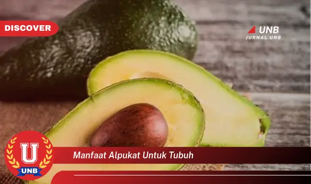 manfaat alpukat untuk tubuh