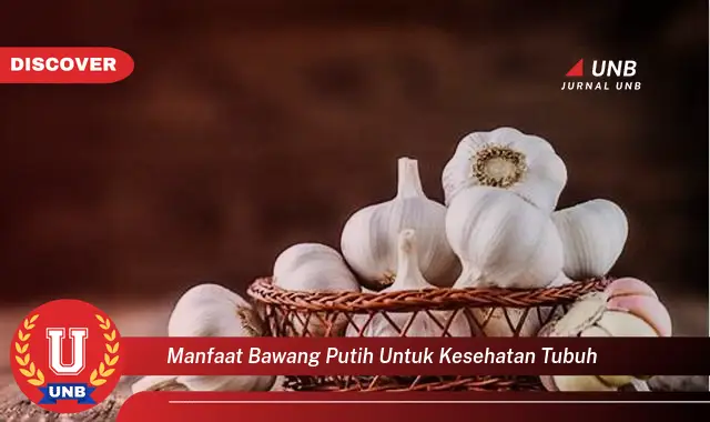 manfaat bawang putih untuk kesehatan tubuh