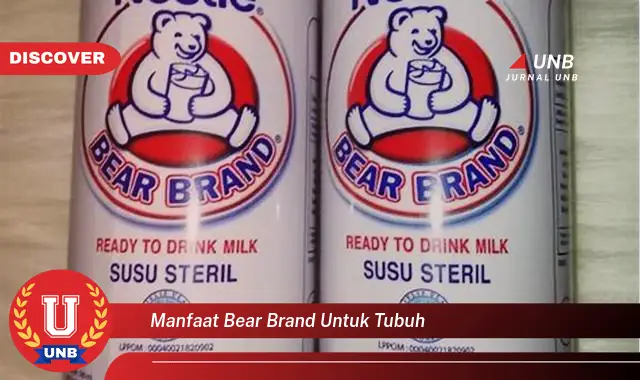 manfaat bear brand untuk tubuh