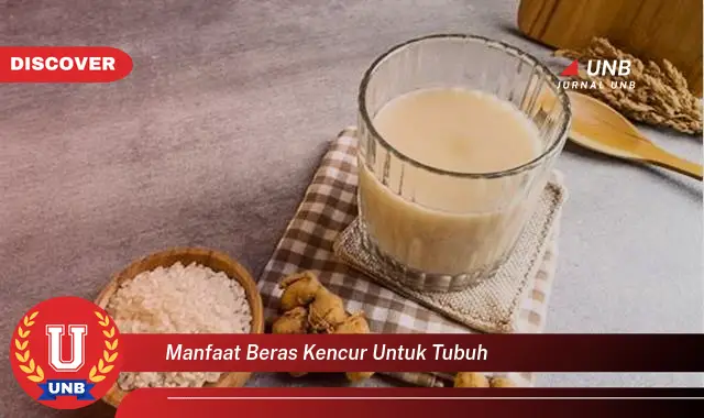 manfaat beras kencur untuk tubuh manfaat beras kencur untuk tubuh