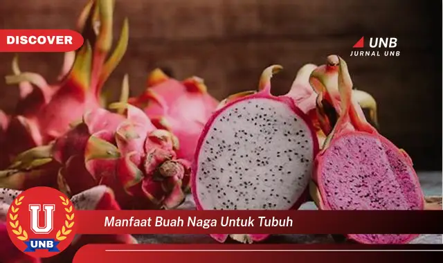 manfaat buah naga untuk tubuh