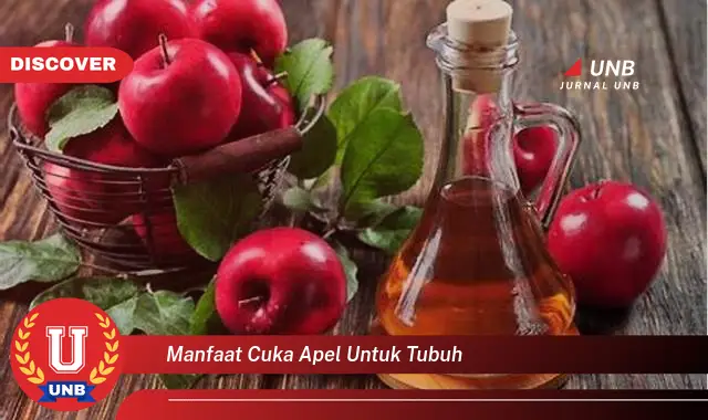 manfaat cuka apel untuk tubuh