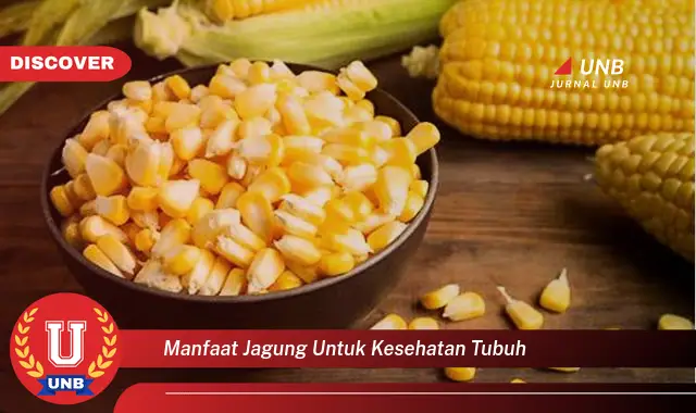 manfaat jagung untuk kesehatan tubuh