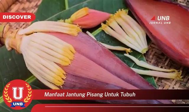 manfaat jantung pisang untuk tubuh