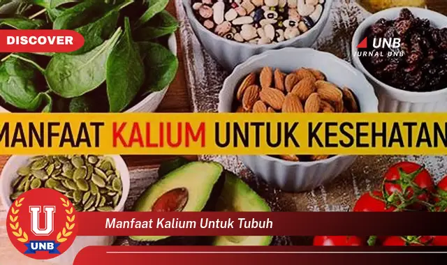 manfaat kalium untuk tubuh manfaat kalium untuk tubuh